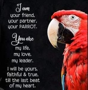 Meet your Posher, Ron